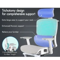 Executive Orthopedic Office Seat - Image 4